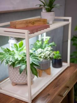 Oslo 1-Tier LED Grow Light Garden -Gardenhaus Shop 8611002 2002 tif