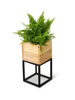 Tartu Elevated Square Planters -Gardenhaus Shop 8611004 038