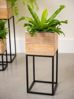 Tartu Elevated Square Planters -Gardenhaus Shop 8611005 035