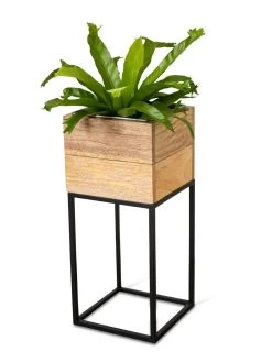 Tartu Elevated Square Planters -Gardenhaus Shop 8611005 036