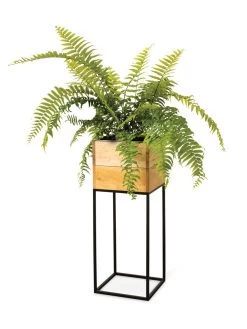 Tartu Elevated Square Planters -Gardenhaus Shop 8611006 033