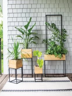 Tartu Elevated Square Planters -Gardenhaus Shop 8611007 022