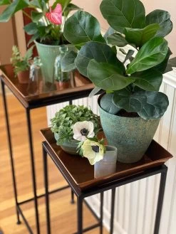 Square Nesting Plant Stands With Trays, Set Of 2 -Gardenhaus Shop 8611014 3651 tif