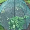 GardenSkill Pop N Crop Plant Umbrella -Gardenhaus Shop 8611105 01V tif