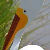 Florida Dancing Birds®, American White Pelican