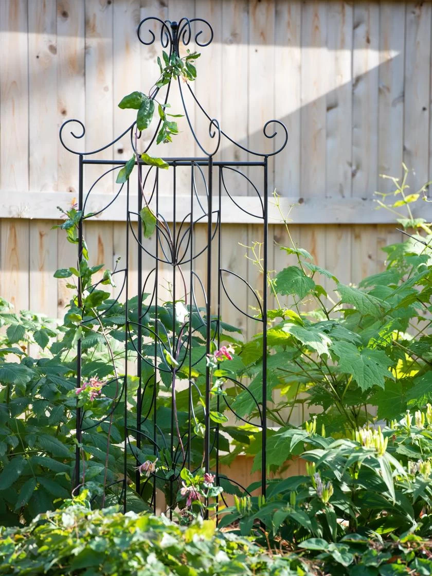 Gardenhaus Shop -Gardenhaus Shop 8611658 035 tif