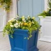 Fairfield Self-Watering Square Planter, 16” X 16” -Gardenhaus Shop 8611695 045 tif