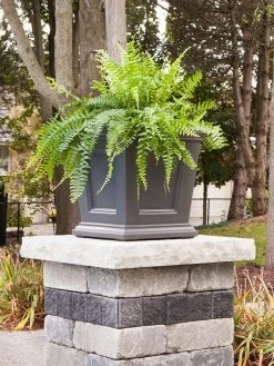 Fairfield Self-Watering Square Planter, 16” X 16” 15 Fairfield Self-Watering Square Planter, 16” X 16” -Gardenhaus Shop 8611695 06V tif