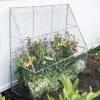 Chicken Wire Flat Back Crop Coop -Gardenhaus Shop 8611701 142 tif