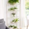 Oslo 4-Tier Plant Stand With Folding Shelves -Gardenhaus Shop 8611767 0039 tif