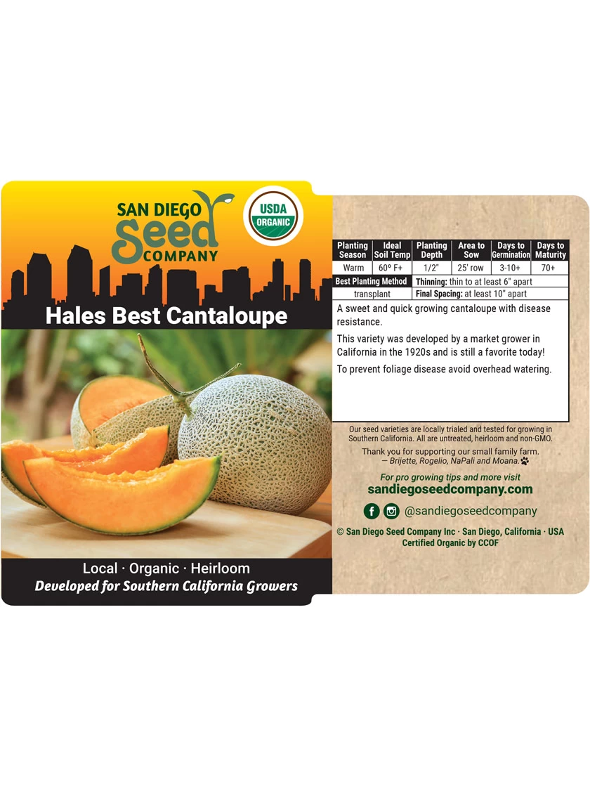 Hales Best Cantaloupe Organic Seeds 5 Hales Best Cantaloupe Organic Seeds - Image 3