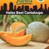 Hales Best Cantaloupe Organic Seeds -Gardenhaus Shop 8611872 02v hales best cantaloupe organic seeds