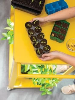 Sili-Seedlings® Seedling Tray, 10-Cell -Gardenhaus Shop 8611886 374 tif