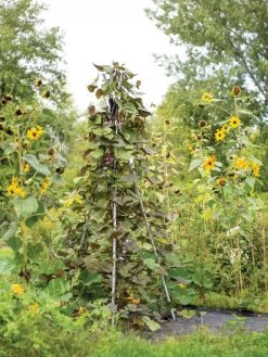 DIY Connector For Teepee Trellis -Gardenhaus Shop 8611896 062 tif