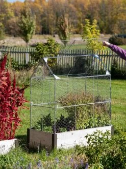 Chicken Wire Crop Coop Extension -Gardenhaus Shop 8611940 4018