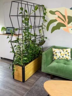 Self-Watering Partition Planter -Gardenhaus Shop 8611952 001 tif