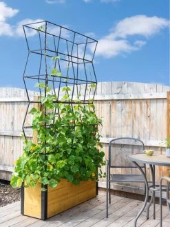 Self-Watering Partition Planter -Gardenhaus Shop 8611952 4825 tif