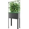 City Jungle® Heidelberg Tomato Trellis -Gardenhaus Shop 8611964 01V tif