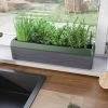 Provence Self-Watering Herb Planter 2 Provence Self-Watering Herb Planter -Gardenhaus Shop 8611965 01V tif