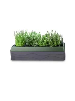 Provence Self-Watering Herb Planter 13 Provence Self-Watering Herb Planter -Gardenhaus Shop 8611965 03V tif
