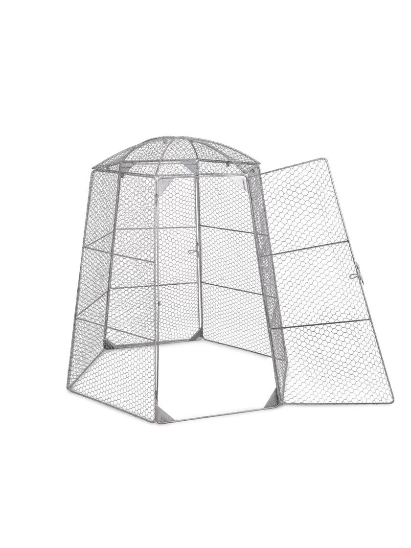 Chicken Wire Super Dome 9 Chicken Wire Super Dome - Image 7