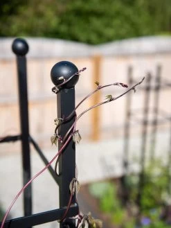 Essex Square Obelisk -Gardenhaus Shop 8611984 278 tif