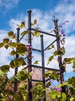 Essex Square Obelisk -Gardenhaus Shop 8611984 354 tif