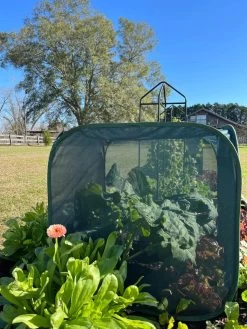 Pest Control Pop-Ups 11 Pest Control Pop-Ups -Gardenhaus Shop 8611989 02 tif