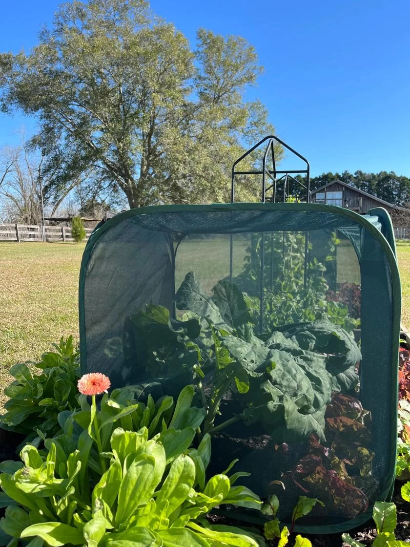 Pest Control Pop-Ups 4 Pest Control Pop-Ups - Image 2