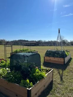 Pest Control Pop-Ups 15 Pest Control Pop-Ups -Gardenhaus Shop 8611989 05 tif