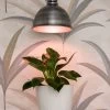 Florabooster® LUM 500-Z LED Plant Light -Gardenhaus Shop 8612017 083 florabooster led plant light