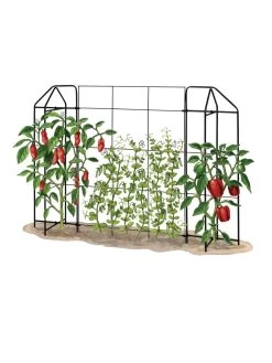 Zenith Trellis -Gardenhaus Shop 8612035 art tif