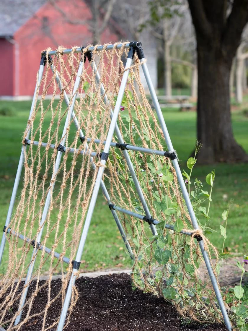 Coco Trellis Netting, 4' X 15' 6 Coco Trellis Netting, 4' X 15' - Image 4