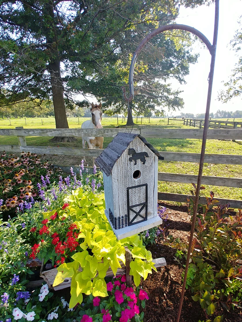 Summitville Stable Bird House 3 Summitville Stable Bird House