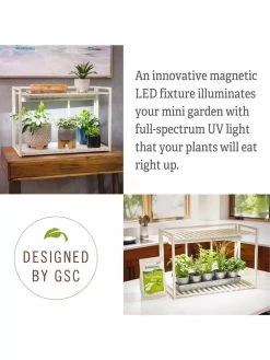 Tabletop Grow Kit -Gardenhaus Shop 8612507 4