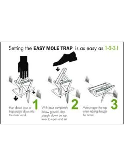Easy Mole Trap -Gardenhaus Shop 8612557 04v 1