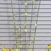 Flock Of Friends Wall Trellis -Gardenhaus Shop 8612636 0029 flock of friends wall trellis