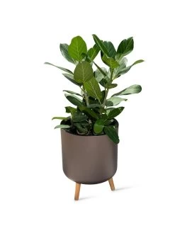 Ava Self-Watering Round Planter -Gardenhaus Shop 8612692 0003