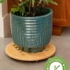 Bamboo Plant Caddy Round, 15.75" -Gardenhaus Shop 8612716 14