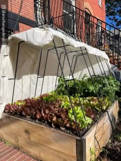 Cotton All Purpose Garden Cover -Gardenhaus Shop 8612816 01CUST