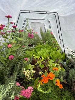 Zenith Garden Hoops, Set Of 4 -Gardenhaus Shop 8612816 01TEST