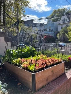 Zenith Garden Hoops, Set Of 4 -Gardenhaus Shop 8612816 02CUST