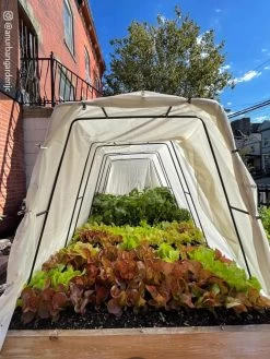 Cotton All Purpose Garden Cover -Gardenhaus Shop 8612816 03CUST