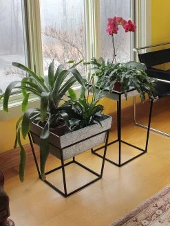 Achla Designs Arne Plant Stand 12 Achla Designs Arne Plant Stand -Gardenhaus Shop 8612899 02v