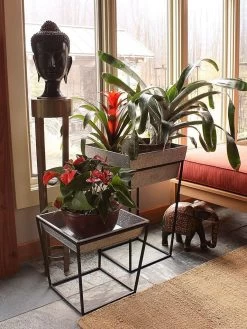 Achla Designs Arne Plant Stand 13 Achla Designs Arne Plant Stand -Gardenhaus Shop 8612900 03v