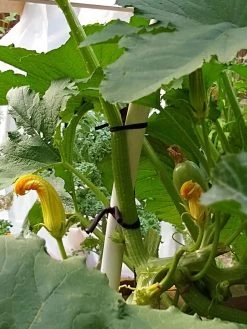 Farmyarn® Multipurpose Garden Tie, 2 Pack -Gardenhaus Shop 8612948 01v