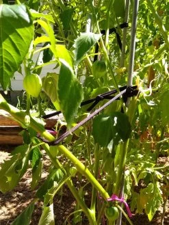 Farmyarn® Multipurpose Garden Tie, 2 Pack -Gardenhaus Shop 8612948 02v