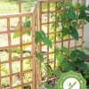 Bamboo Zig-Zag Trellis 24" X 36" -Gardenhaus Shop 8613151 15