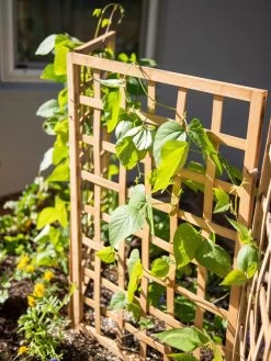 Bamboo Zig-Zag Trellis 24" X 36" -Gardenhaus Shop 8613151 6467