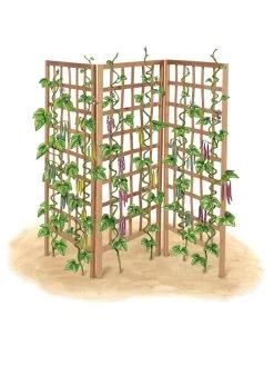 Bamboo Zig-Zag Trellis 24" X 36" -Gardenhaus Shop 8613151 art flat